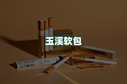 玉溪软包
